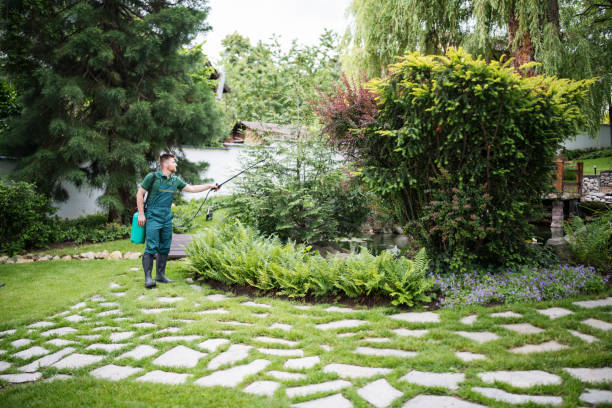 Best Local Pest Control Services  in Demarest, NJ