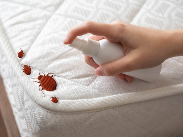 Best Pest Control for Restaurants  in Demarest, NJ