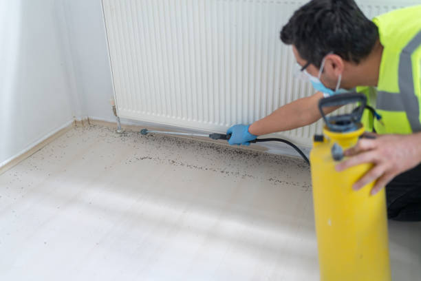 Best Best Pest Control Companies  in Demarest, NJ