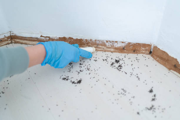 Best Pest Prevention Services  in Demarest, NJ