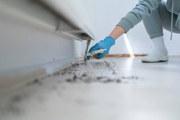 Best Mosquito Control Services  in Demarest, NJ
