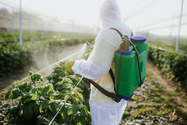 Professional Pest Control in Demarest, NJ